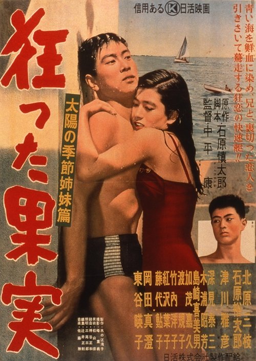 狂った果実 movie poster player