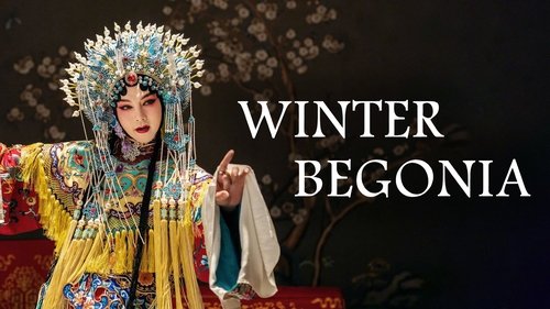 Winter Begonia