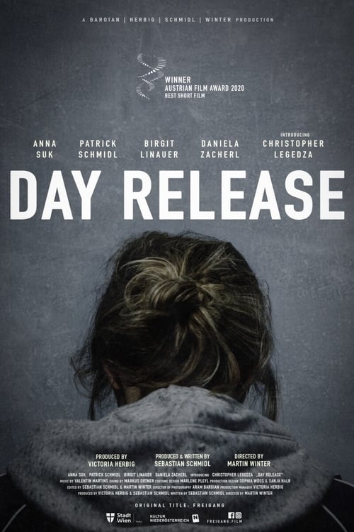 On her son's birthday, 25-year-old single mother Kathi receives day release from prison and finds her three-year-old, who is living with Kathi’s unstable mother, in terrible circumstances. Kathi is forced to find a way to enable a better future for her toddler, while she is confronted with her past– and time is against her, as she has to be back in prison by 6pm.