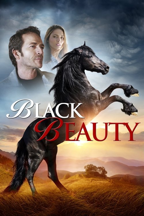 Black Beauty poster