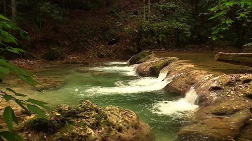 Soy el Agua Backdrop Blur