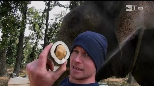 Image de l'épisode 8