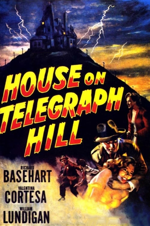 Grootschalige poster van The House on Telegraph Hill