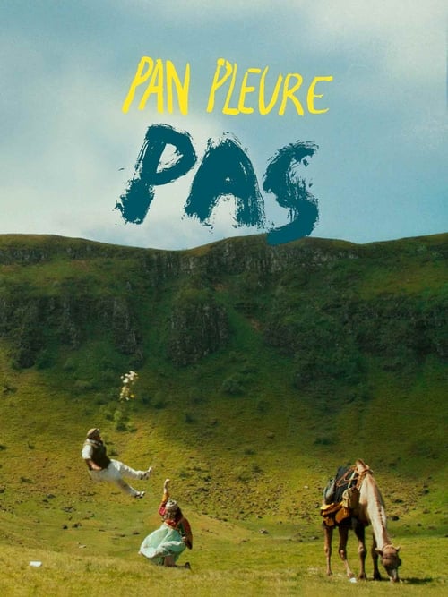 Pan pleure pas (2014)