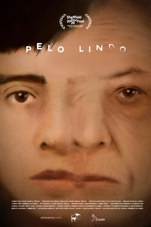 Pelo Lindo poster