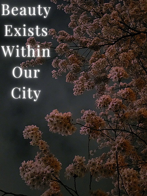Beauty Exists Within Our City still 2