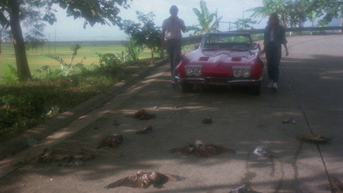Zumbi 3 - imagem 12
