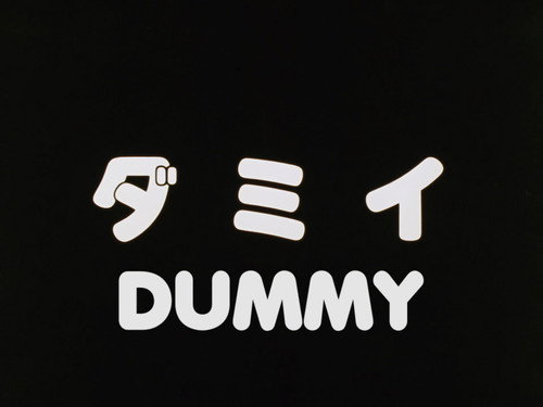 Dummy