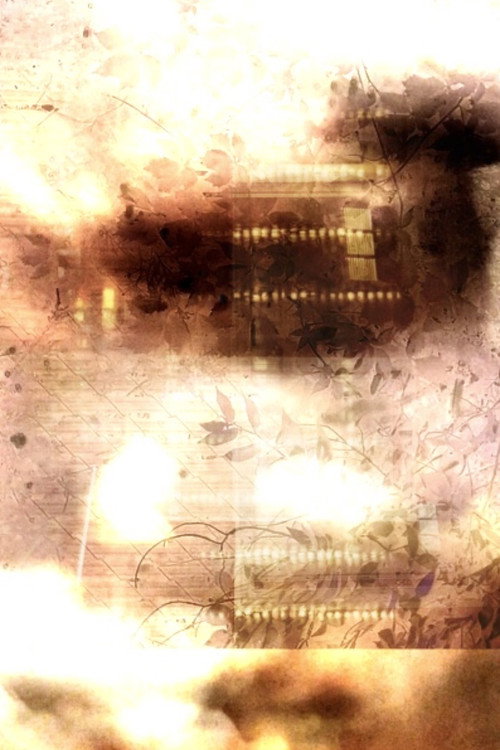 Couverture de Acedian