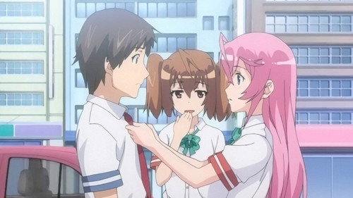 オトメドリ