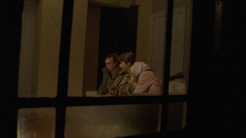 Head niidid - imagem 5