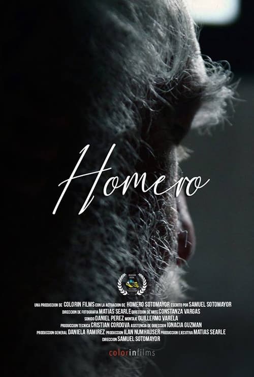 Poster Homero 2018