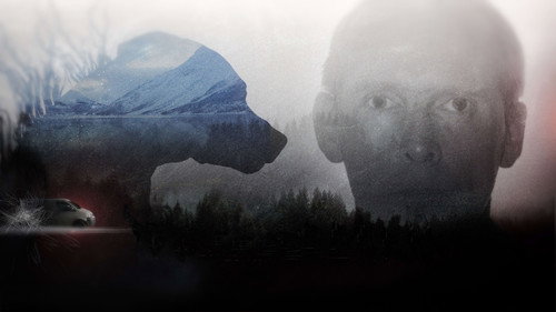 Vålnes-saken - Season 1 Backdrop Blur
