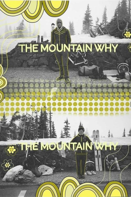 Poster The Mountain Why 2020