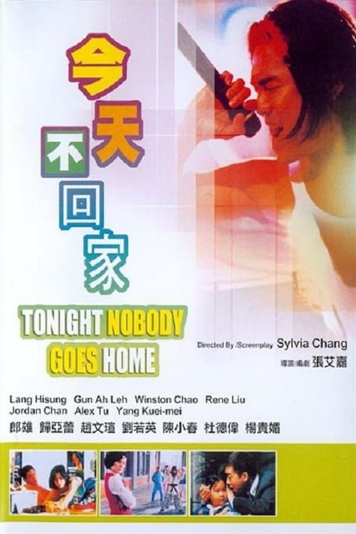 今天不回家 (1996) poster