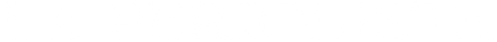 The Journalist