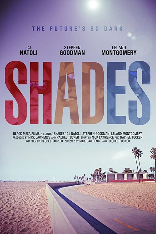 Shades (2013) poster