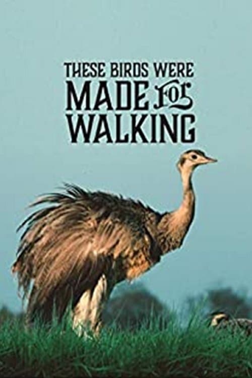 These Birds Were Made for Walking (2020)