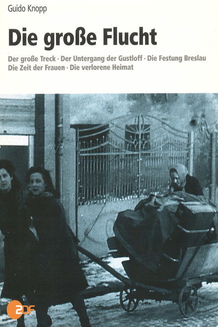 Escena 2 de Die große Flucht