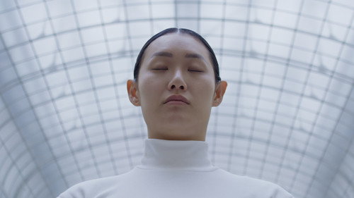 Memory of a Mycelium