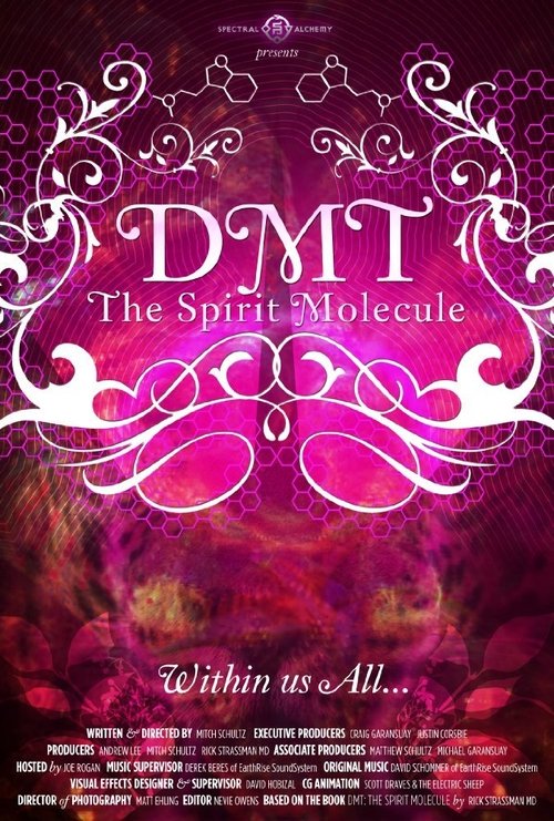 DMT: The Spirit Molecule 2010