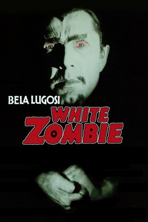 Poster 8