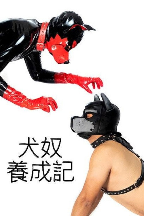 犬奴养成记