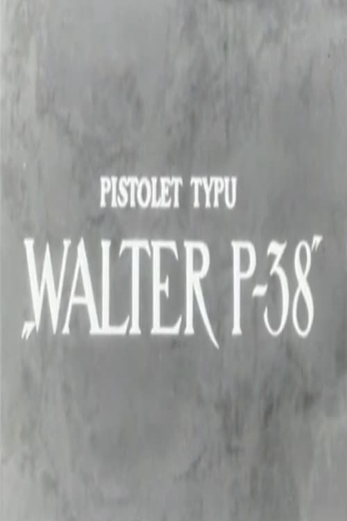 Pistolet typu 