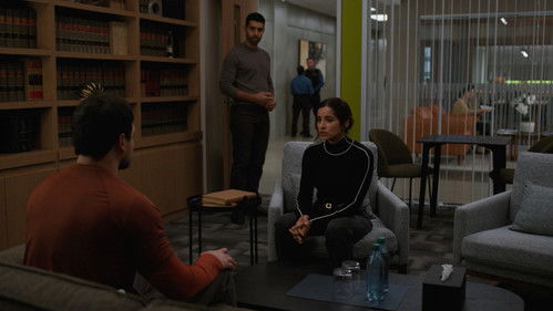 Poster della serie Allegiance