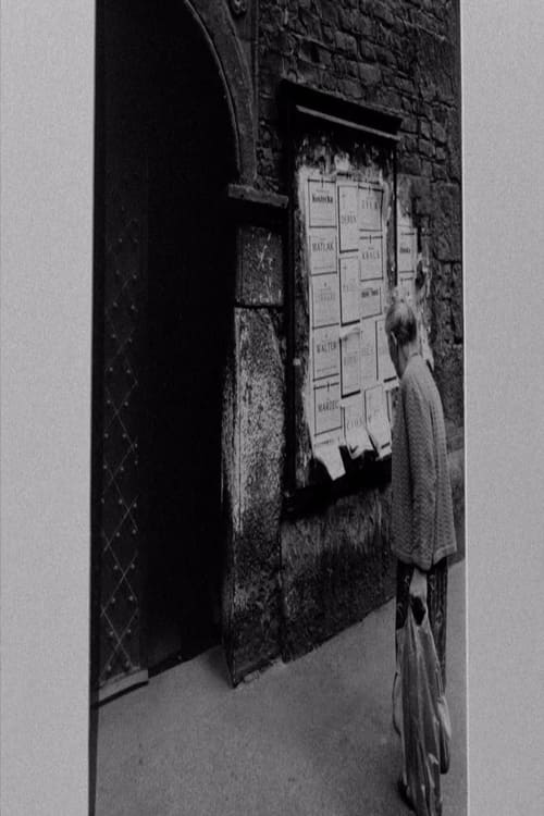 Poster for The Foreigner