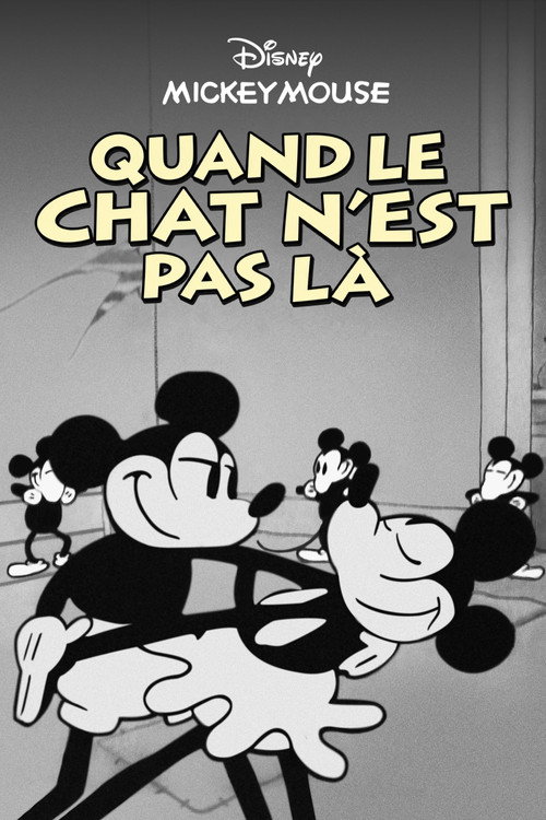 Quand le chat n'est pas là