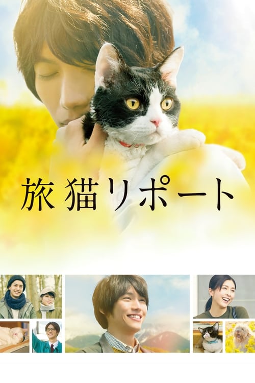 The Travelling Cat Chronicles Movie Poster Image