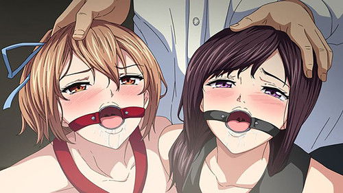 Sakuramiya Shimai no Netorare Kiroku