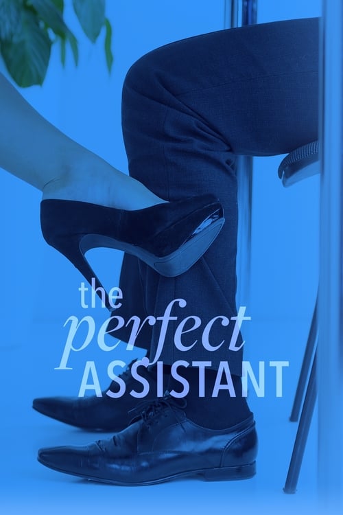 The Perfect Assistant poster