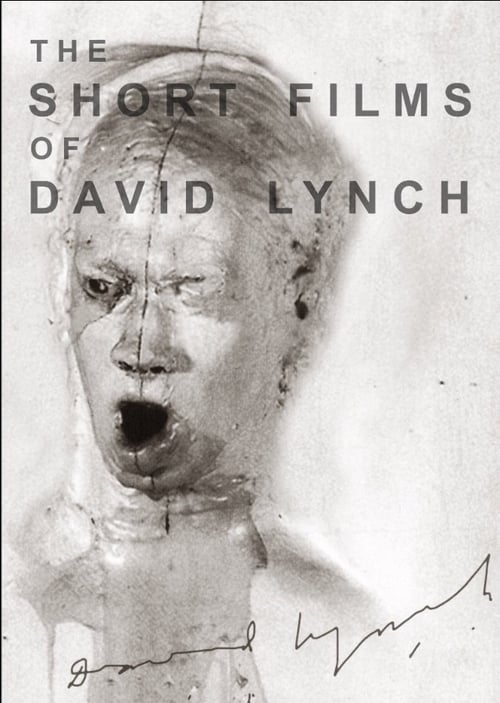 The Short Films of David Lynch (2002) poster