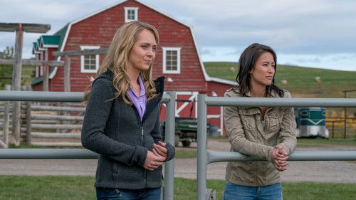 Heartland: 9×12
