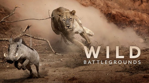 Wild Battleground - Season 1 Backdrop Blur