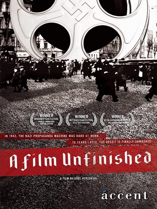 A Film Unfinished 2010