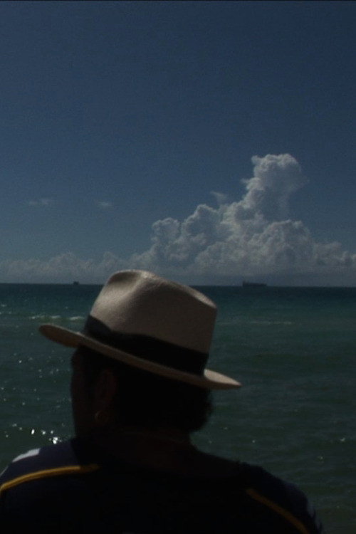 Cubanos – Vie et mort d'une révolution