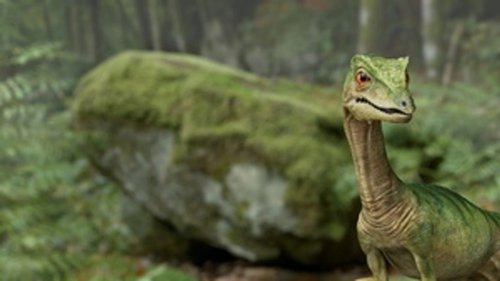 Planet Deutschland - 300 Millionen Jahre Planet Deutschland - 300 Millionen Jahre