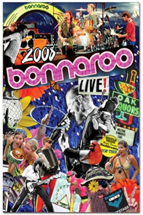 2008 Bonnaroo Live!