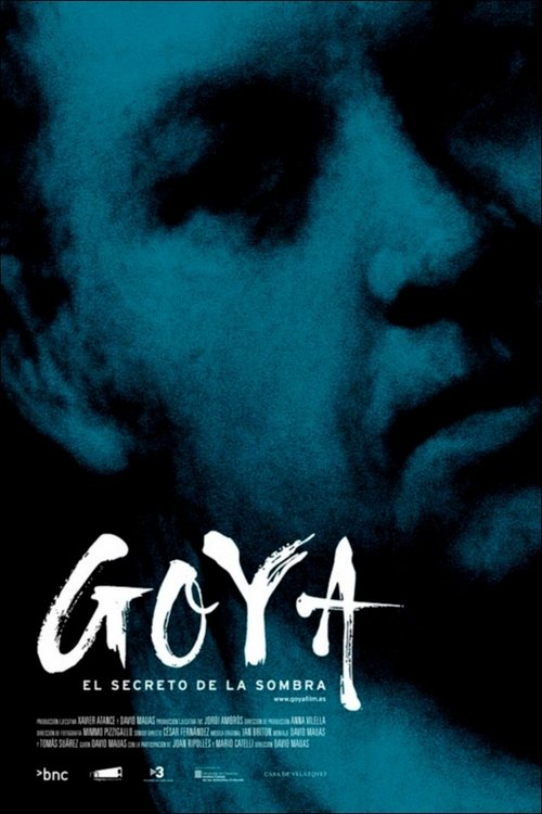 Goya: el secreto de la sombra poster