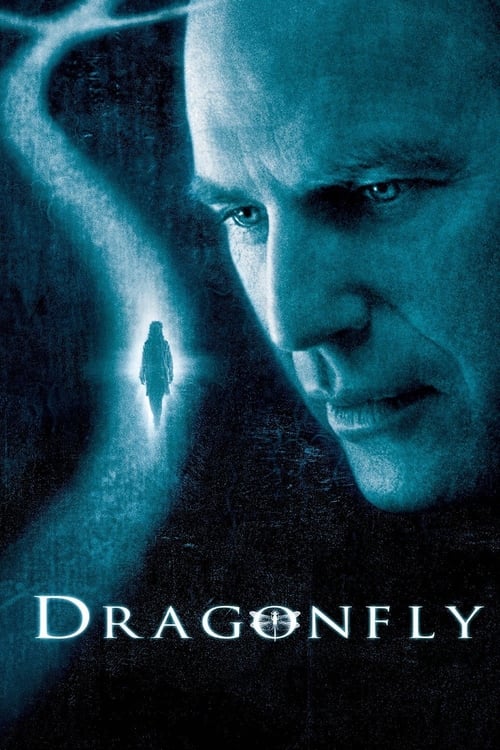 Grootschalige poster van Dragonfly