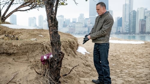 Chicago P.D.: Distrito 21: 3×20