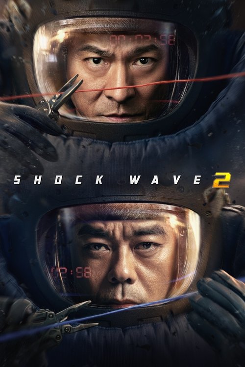 Pôster de Shock Wave 2