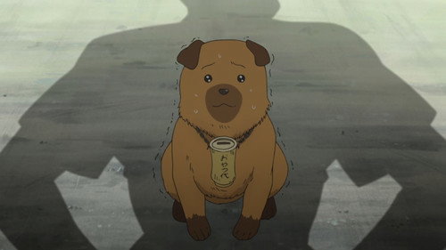 Hachiken Jumps High
