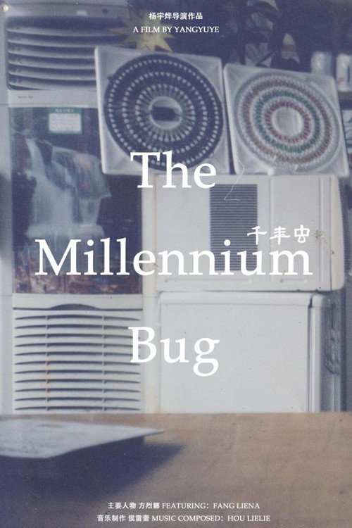 The Millennium Bug