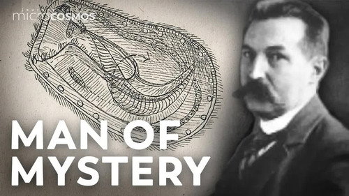 The Schoolteacher Who Discovered 700 Ciliates