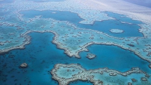 Les défis de la Grande Barrière de corail Les défis de la Grande Barrière de corail