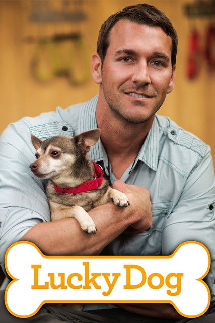 Escena 6 de Lucky Dog